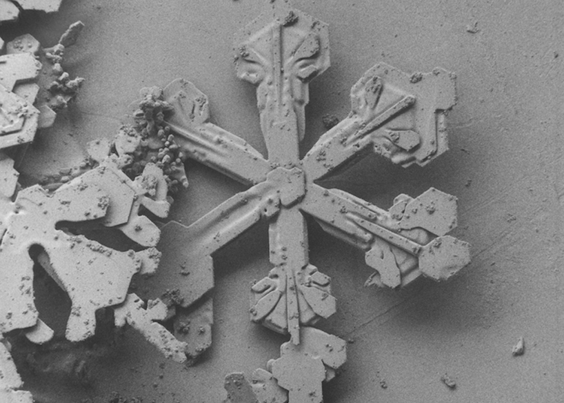 snowflake images under an electron microscope