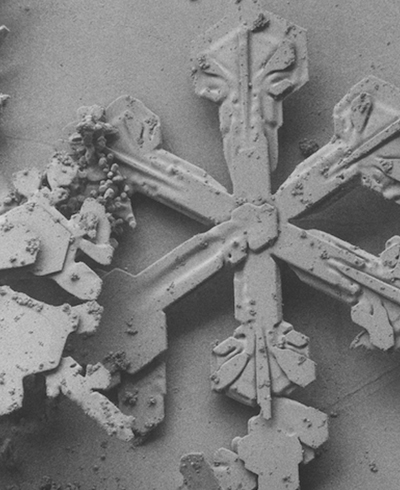 snowflake images under an electron microscope