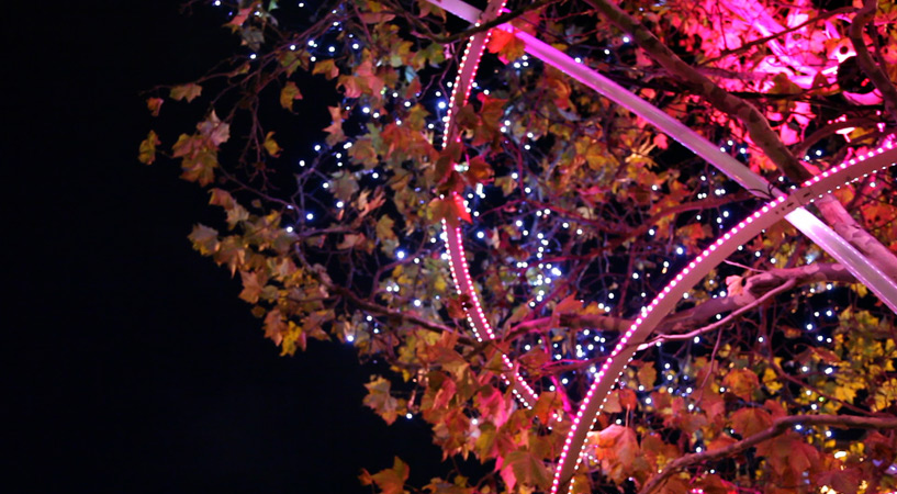 tree rings by ACT lighting design illuminate the champs elysée in paris