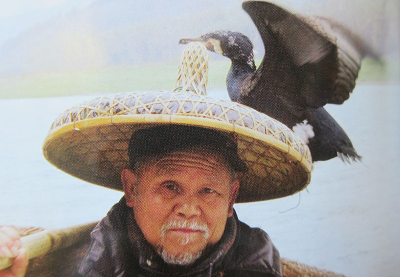 cutting edge chair and leaning fruit bowl by studio 248