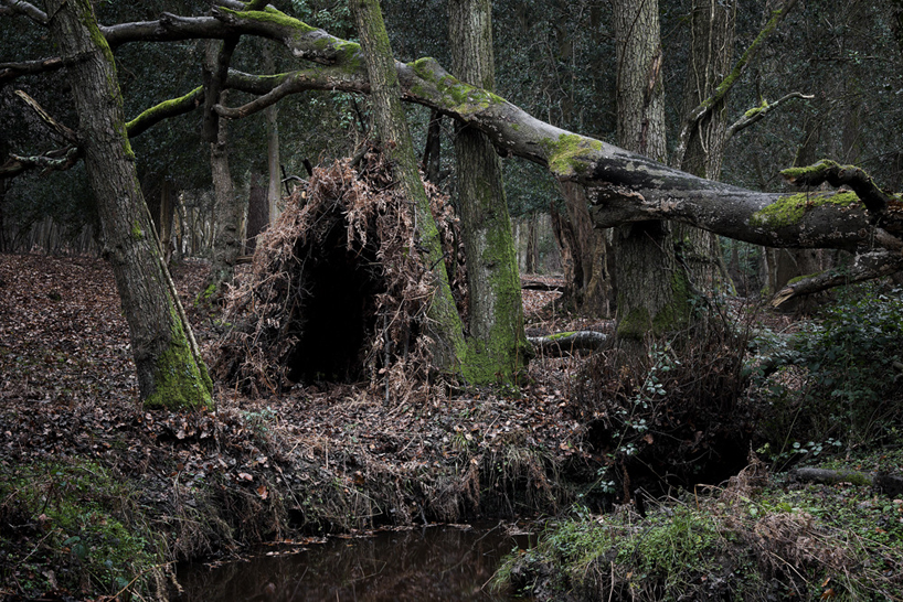 woodland dwellings by ellie davies 