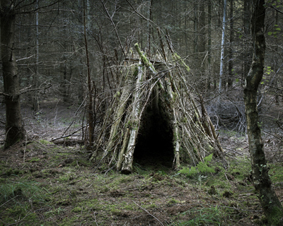 woodland dwellings by ellie davies