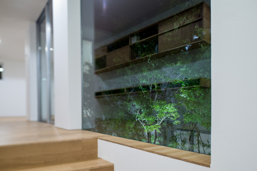florian busch architects: house that opens up to its inside