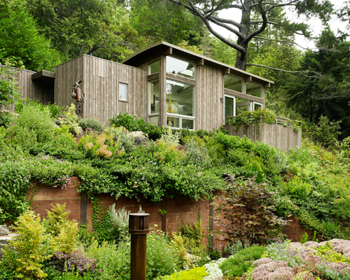 feldman architecture: mill valley cabins in san francisco