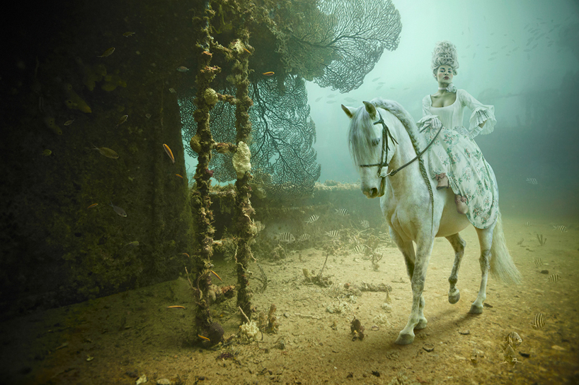 stavronikita project   underwater photography by andreas franke