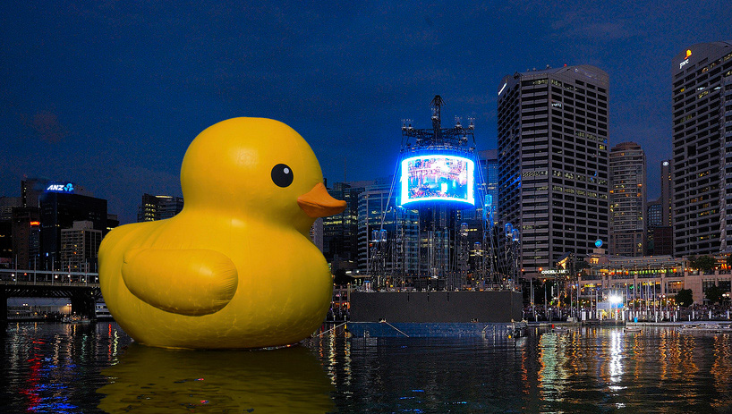 florentijn hofman’s giant rubber duck at sydney festival 2013