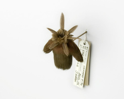 mini feather jackets by jane edden