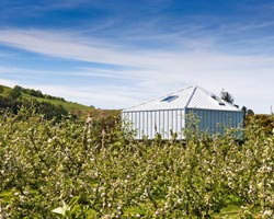 atelier workshop: mckenzie house, new zealand