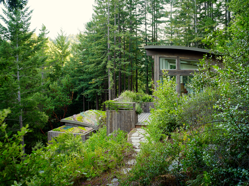 Feldman Architecture Mill Valley Cabins In San Francisco