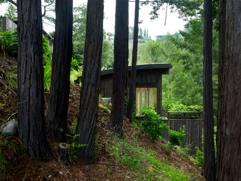 Feldman Architecture Mill Valley Cabins In San Francisco