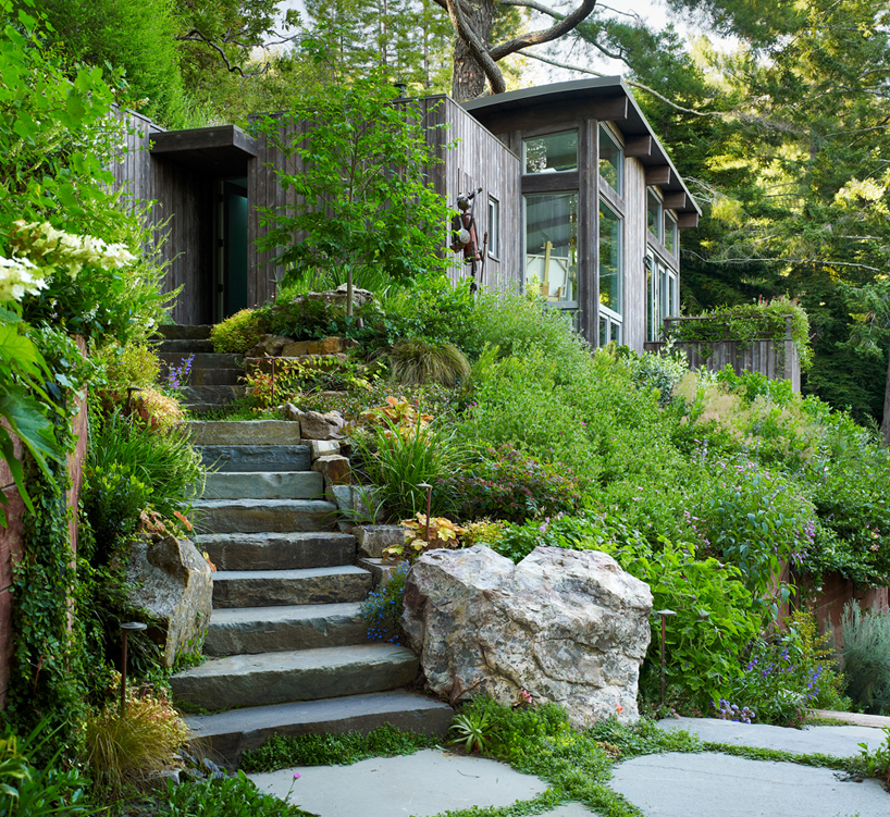 Feldman Architecture Mill Valley Cabins In San Francisco