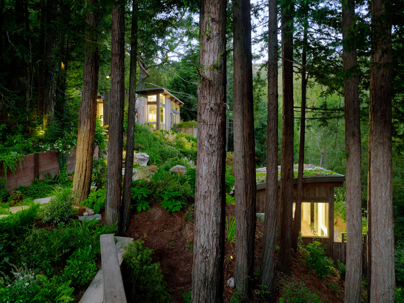 feldman architecture: mill valley cabins in san francisco