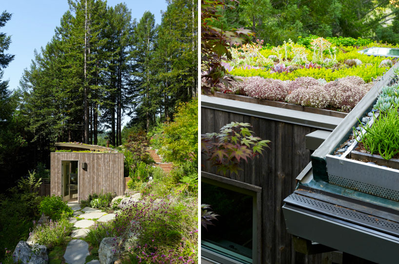 Feldman Architecture Mill Valley Cabins In San Francisco