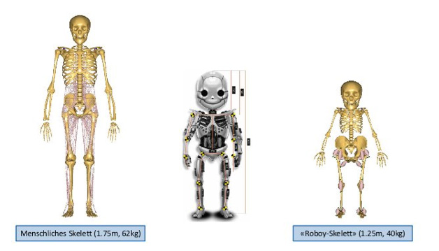roboy: tendon driven humanoid robot 