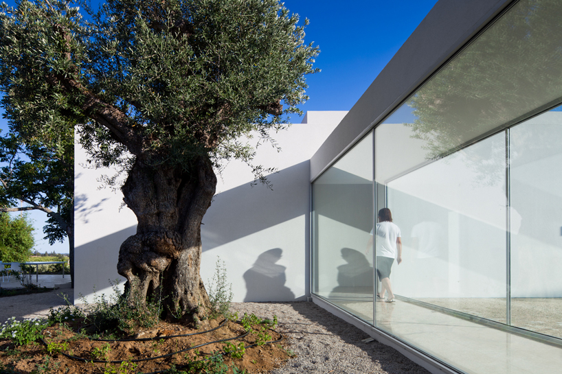 vitor vilhena: house in tavira, portugal