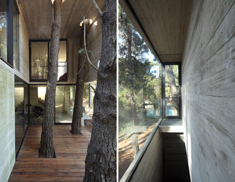 BAK arquitectos constructs casa franz in argentina