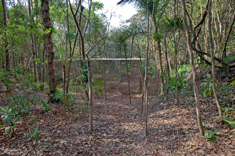 cristina iglesias sculpts polished stainless steel vegetation room in inhotim