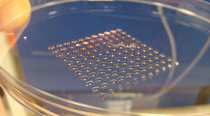 3D printed organs from regenerative living cells
