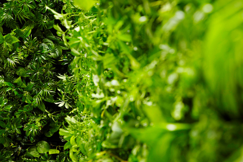 naruse inokuma architects green bathroom concept   house vision 2013