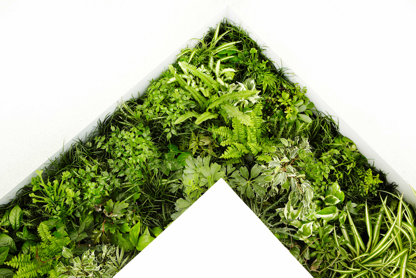 naruse inokuma architects green bathroom concept   house vision 2013