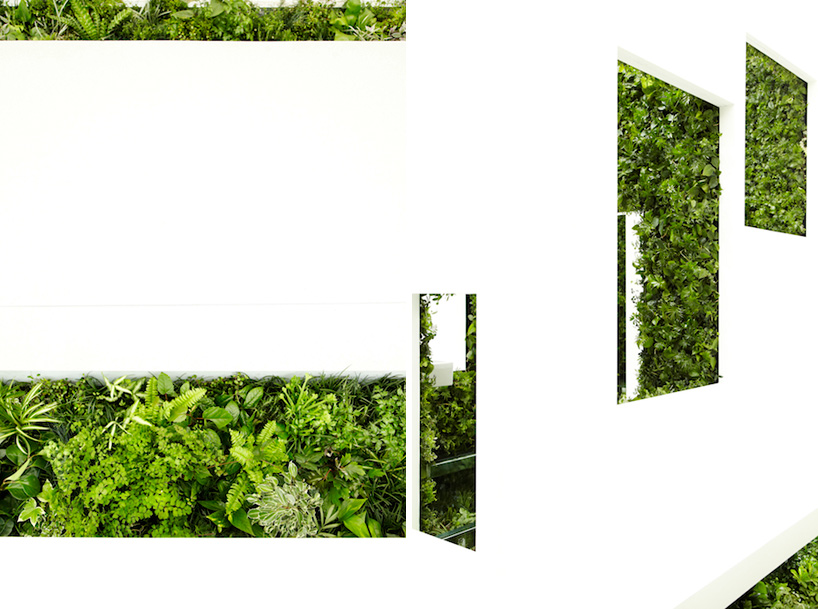 naruse inokuma architects green bathroom concept   house vision 2013