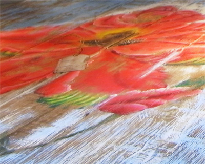 d bodhi touch collection at IFFS/AFS 2013