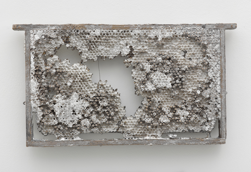 empty honeycomb husks cast in bronze   lost wax by kris martin