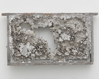 empty honeycomb husks cast in bronze lost wax by kris martin