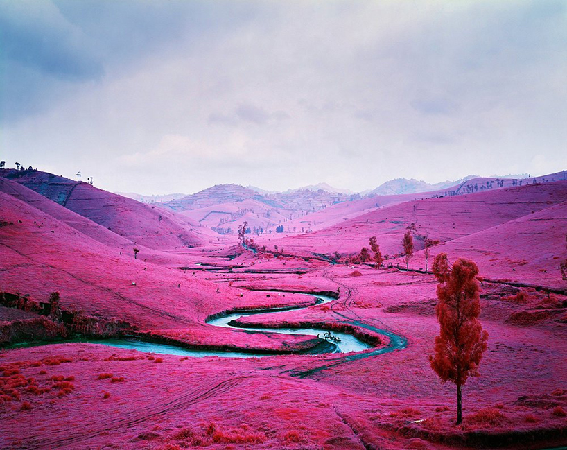 infrared landscapes by richard mosse at the armory show