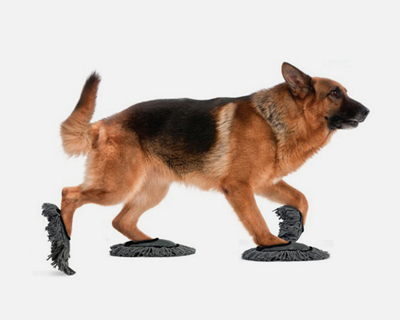 pet sweep animal powered debris removal system