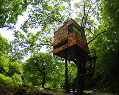 treehouses by takashi kobayashi, japan
