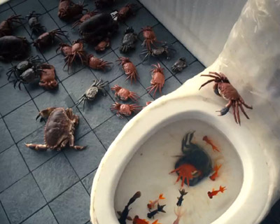 ai weiwei dumbass music video