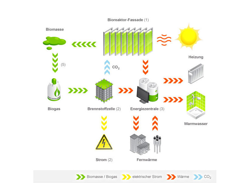 world's first algae powered building by splitterwerk