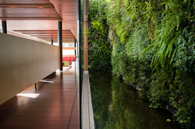 FR EE / fernando romero enterprise: toluca house