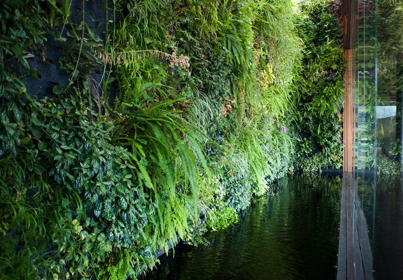 FR EE / fernando romero enterprise: toluca house