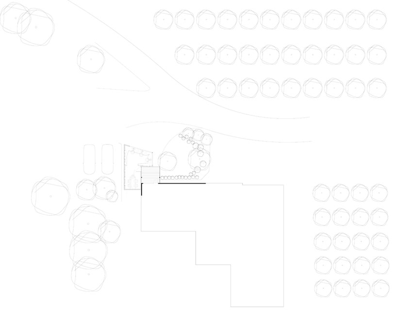 branch studio architects design their own office
