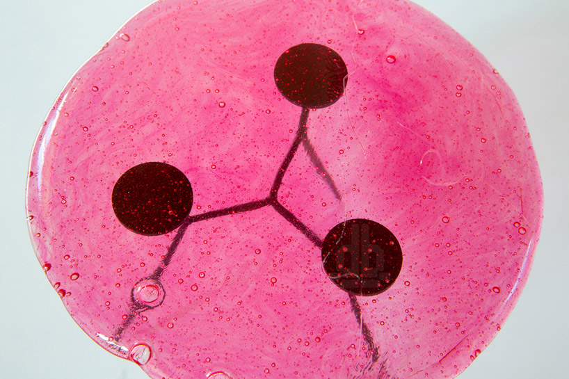 edible furniture by lanzavecchia + wai