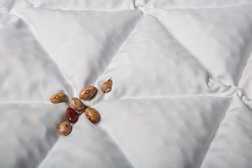 edible furniture by lanzavecchia + wai