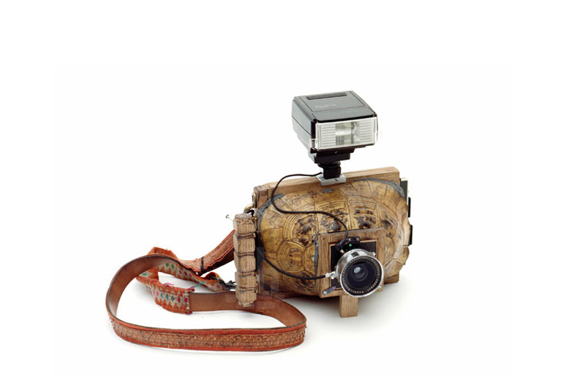 taxidermied turtle and armadillo cameras by taiyo onorato + nico krebs