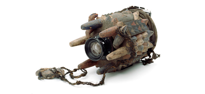 taxidermied turtle and armadillo cameras by taiyo onorato + nico krebs