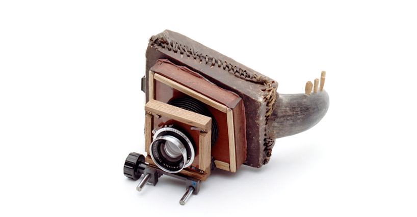 taxidermied turtle and armadillo cameras by taiyo onorato + nico krebs