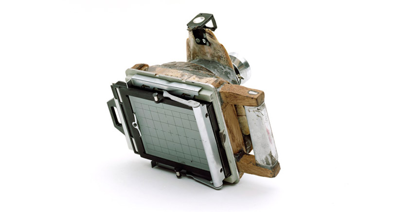 taxidermied turtle and armadillo cameras by taiyo onorato + nico krebs