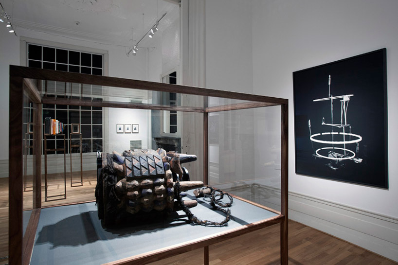 taxidermied turtle and armadillo cameras by taiyo onorato + nico krebs