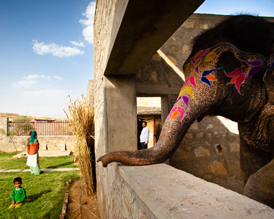 rahul mehrotra of RMA designs hathigaon elephant village
