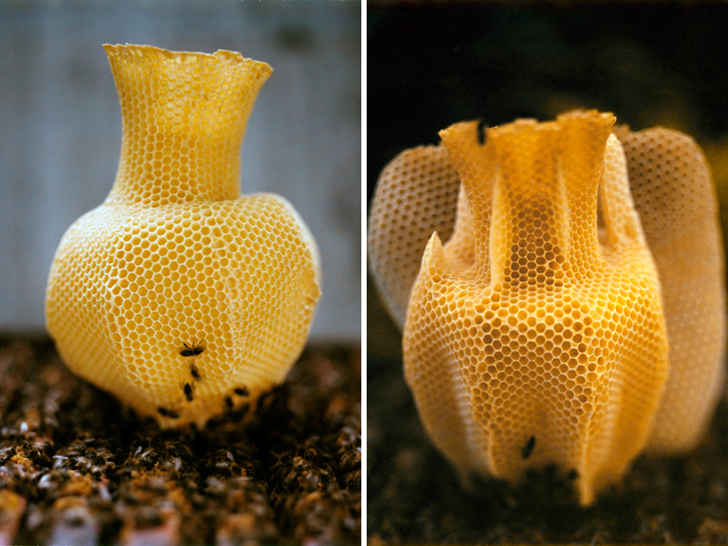 MoMA's applied design exhibition