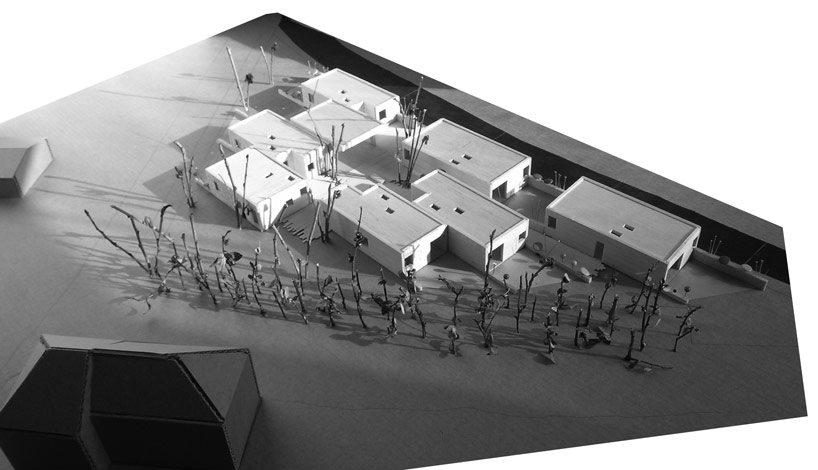 berranger and vincent: arsenic and old lace  homes for the elderly 