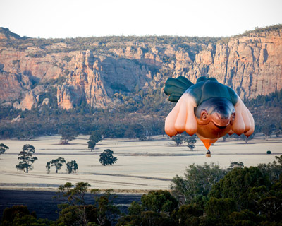 the skywhale hot air balloon by patricia piccinini