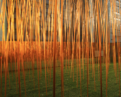 industrial bamboo forest by ESKYIU