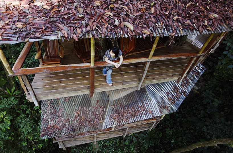 finca bellavista: a sustainable treehouse community, costa rica