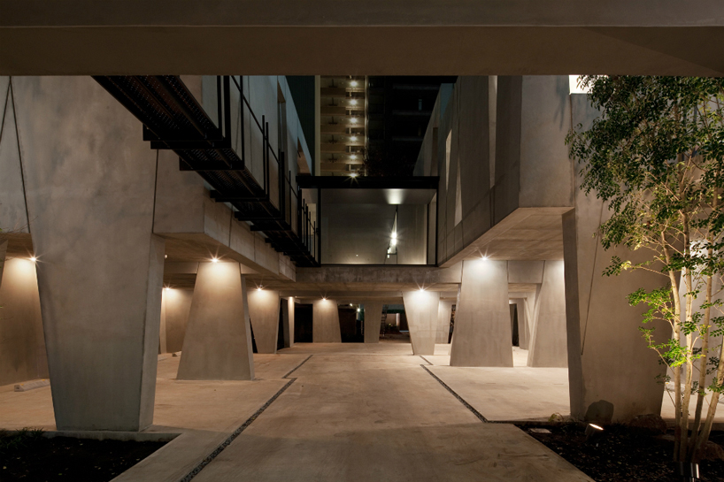 hachioji tree house is a concrete grove by airscape architects 